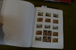 Stanley Gibbons Senator Stamp Album and Contents