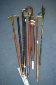Walking Sticks, Hiking Poles, Umbrellas, etc.