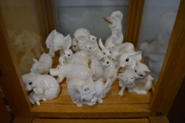 13 Royal Osbourne Animals