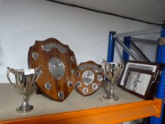 *Quantity of Trophies