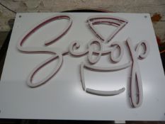 *Illuminated Sign ~110x80cm