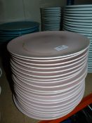 *~20 Pink Dinner Plates