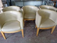 *5 Wooden Framed Tub Chairs with Cream Upholstery