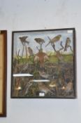 Framed Taxidermy Study of Bird Life with Church Scene