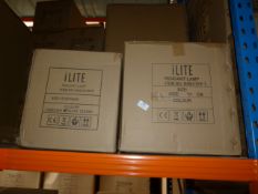 *2 ILite Pendant Lamps NHB10101P and NHB035W/S