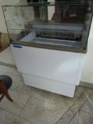 *Tecfrigo ECO4RI Ice Cream Freezer