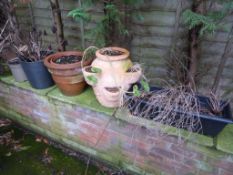 *4 Plant Pots with Various Plants