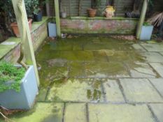 *3 Galvanised Square Planters Containing Vines