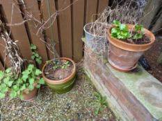 *3 Terracotta and 1 Galvanized Plant Pots