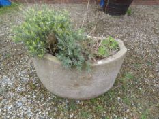 *Stone Half Moon Trough Containing Lavenders