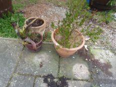 *3 Terracotta Plant Pots