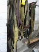 *Quantity of Assorted Lifting Slings (various weig