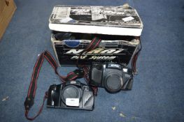 Two Cameras; One Akita and One Nikia