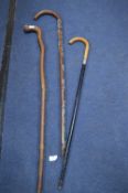 Three Walking Sticks