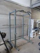 *Powertec Olympic Power Rack (not including bars)