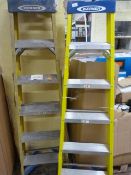 *2 Werner Step Ladders