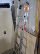 Set of Three Way Combination Ladders