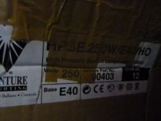 *10 HPSE250W/E40/HO Lamps