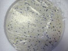 *Lamp NHB066W-16 (white)