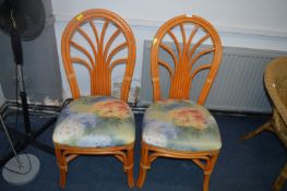 Pair of Bamboo Conservatory Chairs