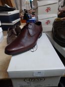 *Catesby Gents Leather Shoes (brown) Size: 12