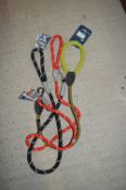 * 3 Dog Leads
