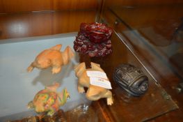 Toads and a Scarab Beatle