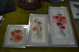 Three Original Poppy Ink Sketches by M. Shaw 1985