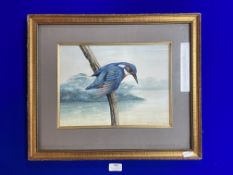 Kingfisher Watercolour by Gordon Turton 1988