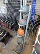 *Set of Five Medicine Studio Balls (1kg - 5kg) on Reebok Rack