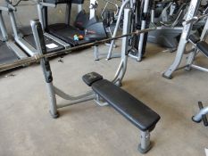 *Life Fitness Flat Olympic Bench (bar not included)