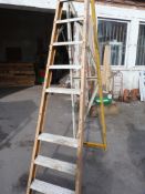 Nine Tread Steps (one step missing)