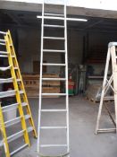 Aluminium Twelve Rung Ladder