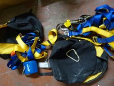 *Two Bags of Safety Harnesses and a Fall Arrester