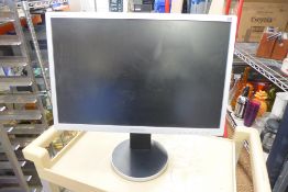 * 22 inch computer screen