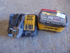 * Battery and charger