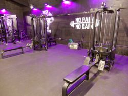 8387 - The Entire Contents of a Hull Gymnasium