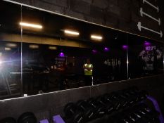 *8x4 Gym Mirror