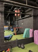 *Pair of 8x4 Gym Mirrors