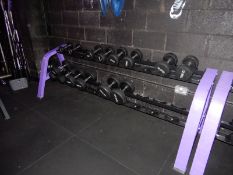 *Seven Pairs of Dumbbells (2.5kg, 7.5kg, 10kg, 12.