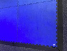 *Fifteen Rubber Gym Mats with Perimeter