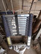 *Twelve Tread Collapsible Ladder