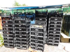 *Approx 120 Bread trays