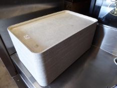 * 30 x plastic trays