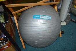 Pro Fitness Exercise Ball