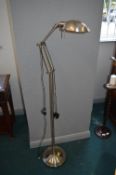 Adjustable Standard/Reading Lamp