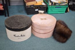 Hammond's and Thornton Valley's Vintage Hat Boxes and Fox Hat