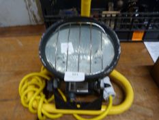 *110v Floodlight