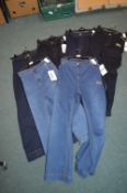 *Six Pairs of Evans Size: 26S Blue Jeans and Jeggi