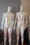 *Two Male Mannequins